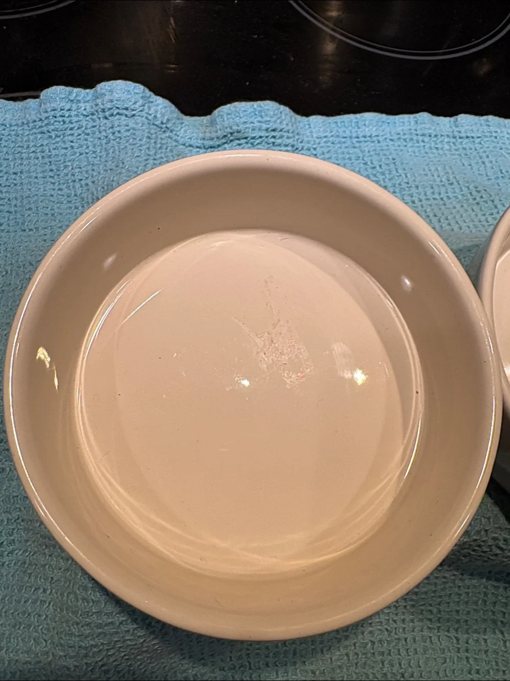 Rae Dunn Pet Dishes Gulp and Sip